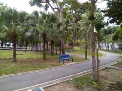 Blk 132 Simei Street 1 (Tampines), HDB 3 Rooms #603022971